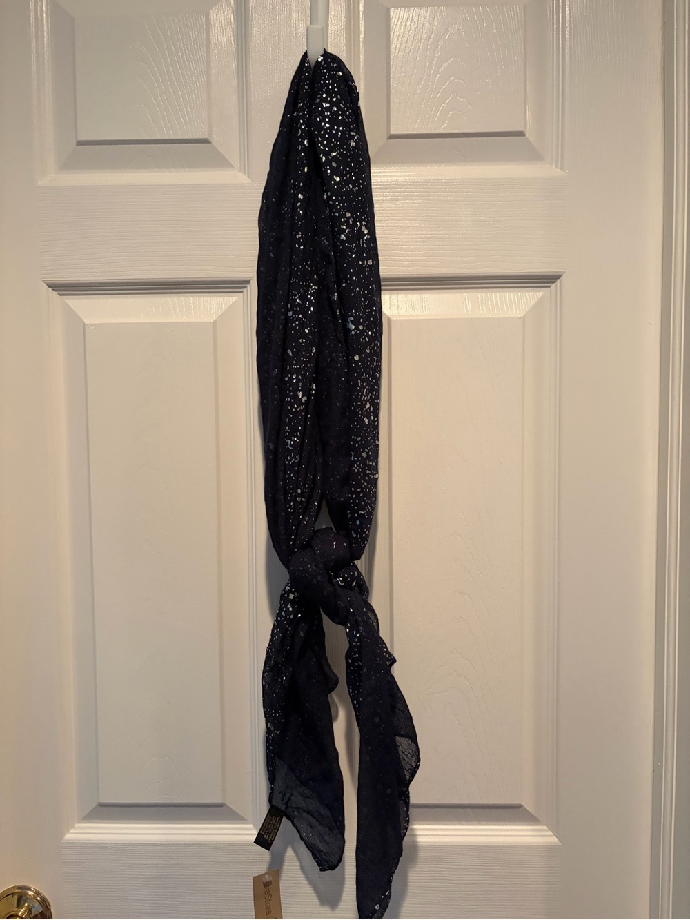 SAACHI Metallic Speckle Navy Scarf -